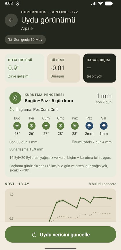 Uydu görünümü: bitki örtüsü, büyüme, kurutma penceresi ve NDVI grafiği